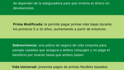 alternativas a seguros de vida tradicionales