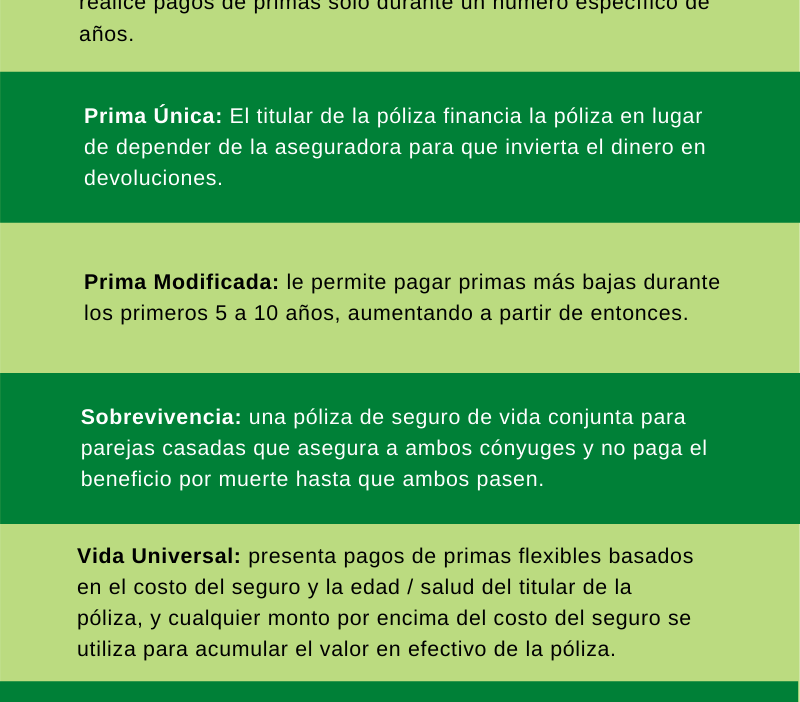 alternativas a seguros de vida tradicionales