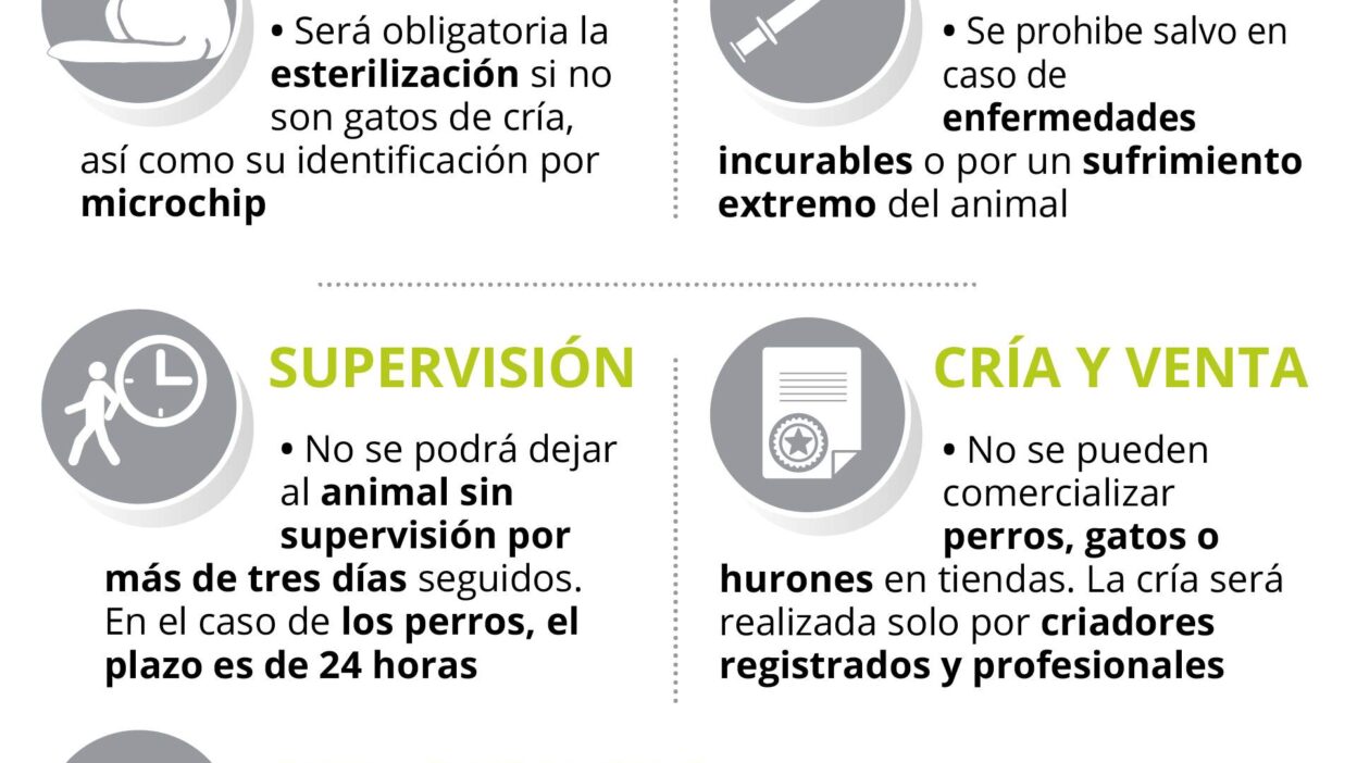 aspectos legales de los seguros animales