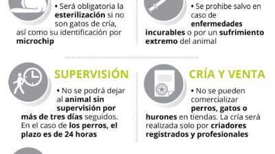 aspectos legales de los seguros animales
