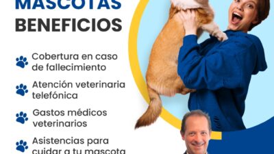 beneficios clave del seguro veterinario para mascotas