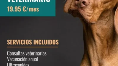 consejos para personalizar tu plan veterinario