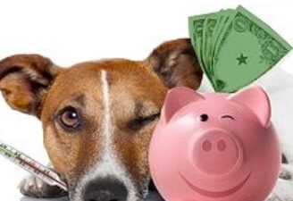 consejos practicos para ahorrar en coberturas veterinarias