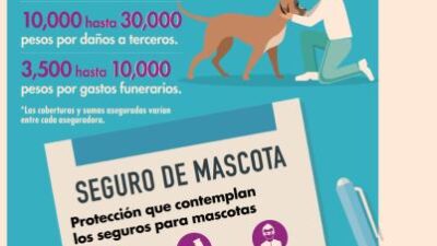 costo promedio de polizas para mascotas
