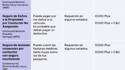 elige el mejor seguro de auto guia esencial