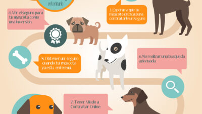 errores comunes al comprar polizas de mascotas