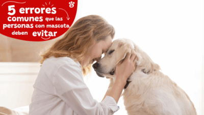 errores que evitan duenos responsables