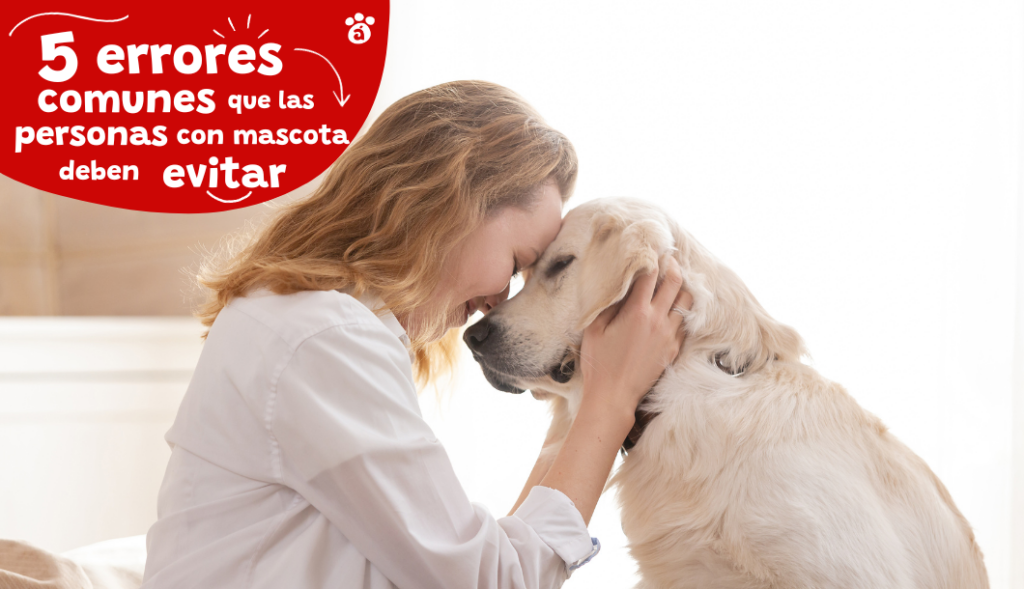 errores que evitan duenos responsables