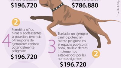 evaluacion de riesgos en polizas animales