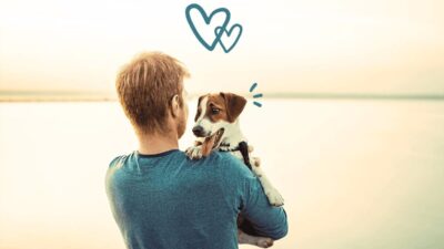 guia completa para elegir seguro animal