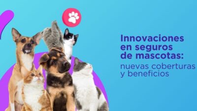 ideas innovadoras en planes de seguro mascota