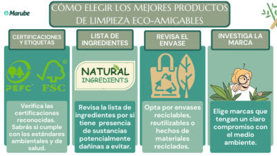 ideas para seguros ecologicos