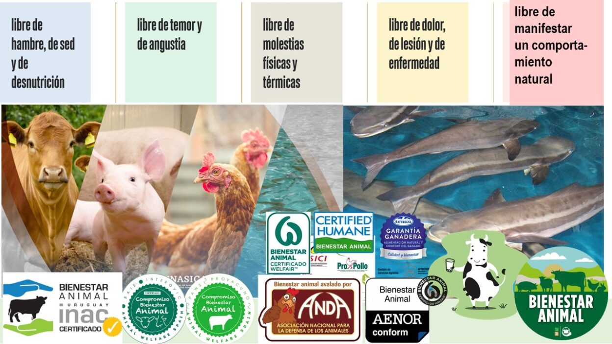 impacto del seguro en bienestar animal