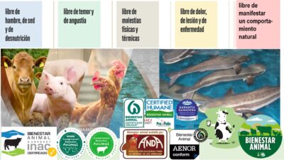 impacto del seguro en bienestar animal