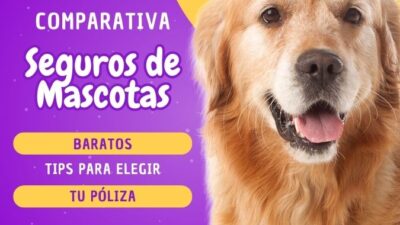 mejores seguros de mascotas para perros y gatos