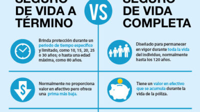 opciones ideales de seguros de vida temporales